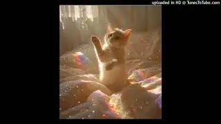[FREE]  redda + lovemusic + ambient type beat - miaow