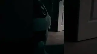 мистер