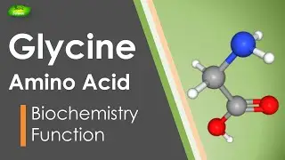 Amino acid Glycine | Proteins | Sweet amino acid | extraterrestrial  | Basic Science Series