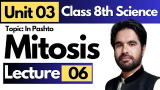 Mitosis | Class 8th Science -Unit 03 - Lecture 06 | Kp textbook