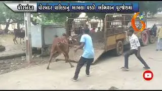 GUJARAT NEWS PORBANDAR 28 09 2021