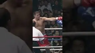 Jerome Le Banner INSANE COMEBACK vs Peter Aerts!