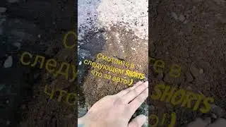 Сажаем картошку)) 