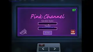 Summertime saga (Subscription Number & Password of Pink Channel.)
