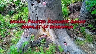 Hiding Painted Kindness Rocks- Hamlet of Wabamun