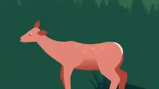Pregnant deer