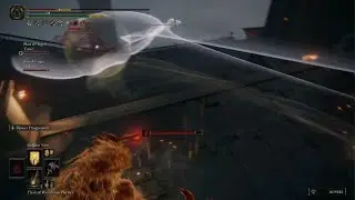 Swift slash abuser flys away
