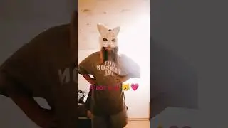 дача не наша приехали отдохнуть 💗😸