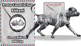 Cem Çelik'ten Mektup Bölüm 2 - Presa Canario'nun Kökeni
