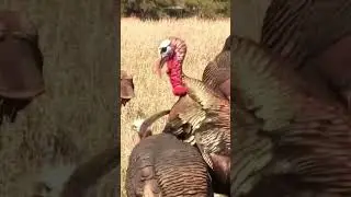 🏹 Turkey Hunting | Decoy Motion Drives Him Nuts! STRUTT’N 360 #hunting #shorts #turkeyhunting