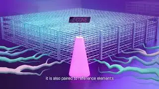 In2sight: a microstructured optical window for non-linear optical microscopy