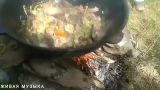 Музыка на маёвке