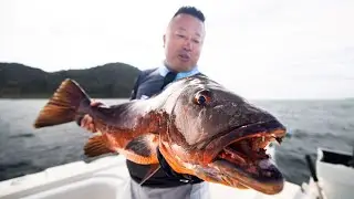 Awesome inshore action on Roosters, Cubera's - Yo-Zuri Day 3 from Sport Fish Panama Island Lodge