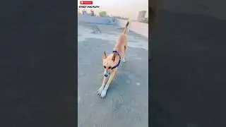 Wait For End 😂 | 