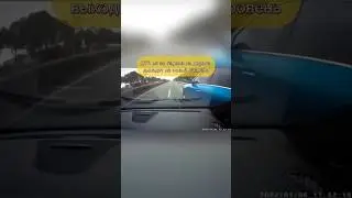 Два барана нашли друг друга ...