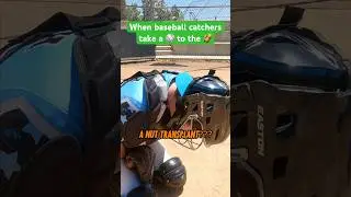 When baseball catchers get hit in the nuts by a pitch #baseball #baseballlife #comedy