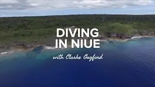 Diving in Niue with Clarke Gayford