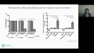 Mallory Brayer: Mechano-Sensitive Channels and US-Induced Insulin Release in Pancreatic Beta Cells