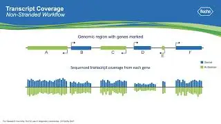 What is Stranded RNA Sequencing?