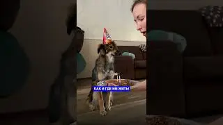 Меня выгоняют из Кыргызстана😨 