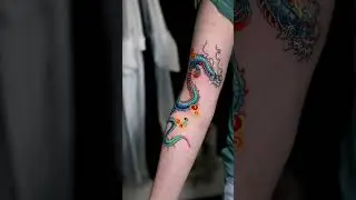 Dragon - PittaKKM