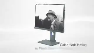 Monitor para Fotógrafos BenQ PhotoVue SW240
