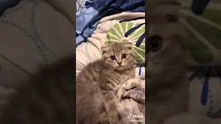 Я…