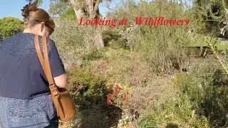 A Walk In The Park