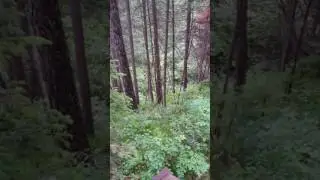 Идём на столбы, красноярск 2