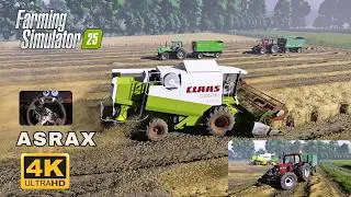 FS 25 | 🌾 Ultra realistic Harvesting in Diepholz | (fs25 reshade)