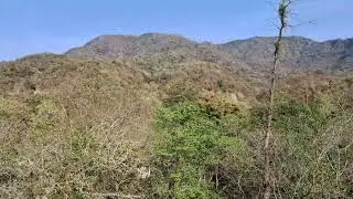 Beatles Ashram Hostel Terrace View
