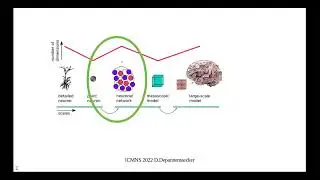 Damien Depannemaecker - Dynamics of seizures: from single neuron to whole-brain models