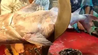 fish cutting skills and Big Mad fish cutting | popular big fish cutting skills