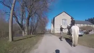 Pirita jõgi Lagedi
