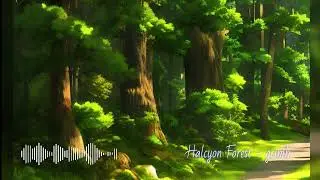 Halcyon Forest - grimh