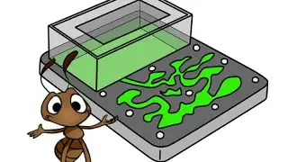 Муравьиная ферма. An ant farm