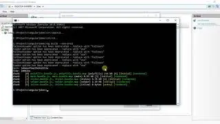 How to build your Angular 2 application for production and deploy on any server?