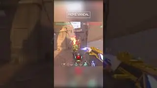 Prime vandal is Aimbot