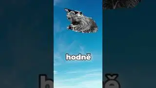 TOHLE CHCI VĚDĚT! 😡