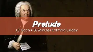Prelude (J.S. Bach) | 30 Minutes Kalimba Lullaby