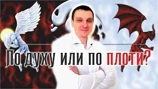 Жизнь по плоти и по духу