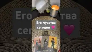 Его чувства сегодня 🩷