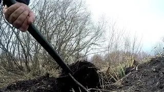 А БЫЛ ЛИ КЛАД?