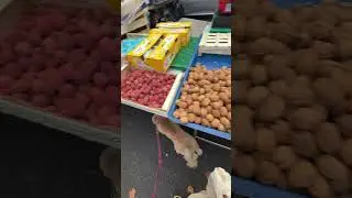 A winter tour of my little farmers market #Lyon #france #croixrousse #shorts