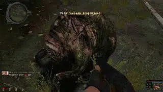 S.T.A.L.K.E.R. - Call of Chernobyl [stason174]   #1 Мерк начинает свой путь...