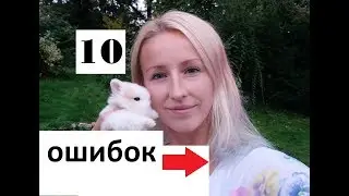 Что нужно знать о кроликах. Почему кролика нельзя брать за уши. Можно ли кроликов класть на спину?