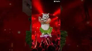 Trying Out a New Festival Outfit is like.. 