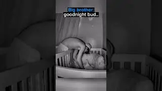 The Sweetest Sibling Interaction Caught On Camera…