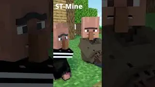 Bad Villager and the last chance. 