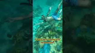 Лето пролетело🚀